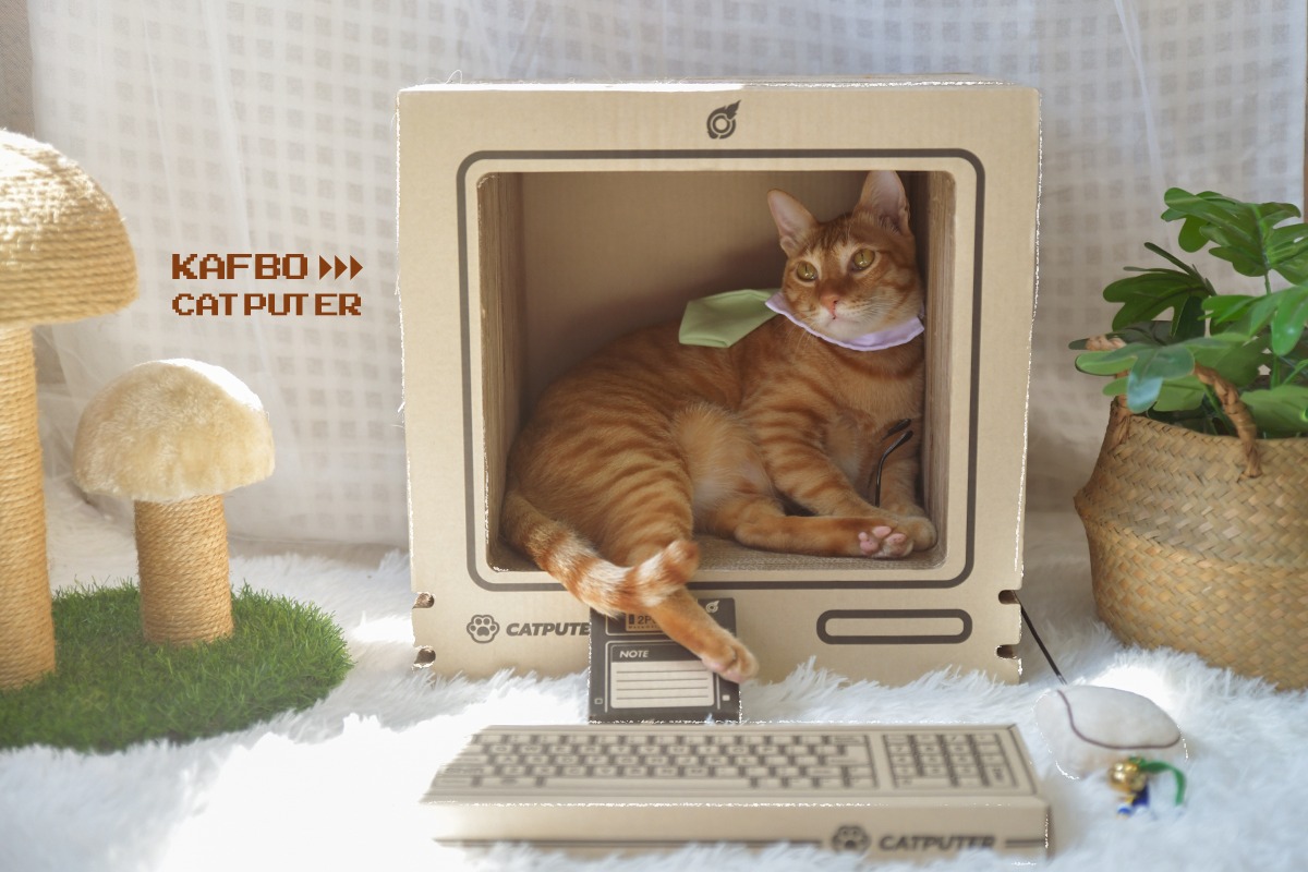 แมวออฟฟิศ - CATPUTER คอมพิวเตอร์สำหรับแมวสุดคิ้วท์จาก... | Facebook