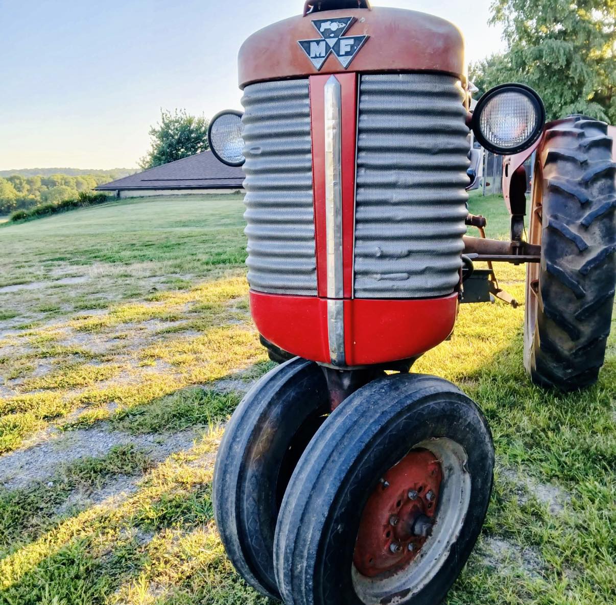 値下Massey Ferguson 50 High clearance 1959 1959 Massey Ferguson 50