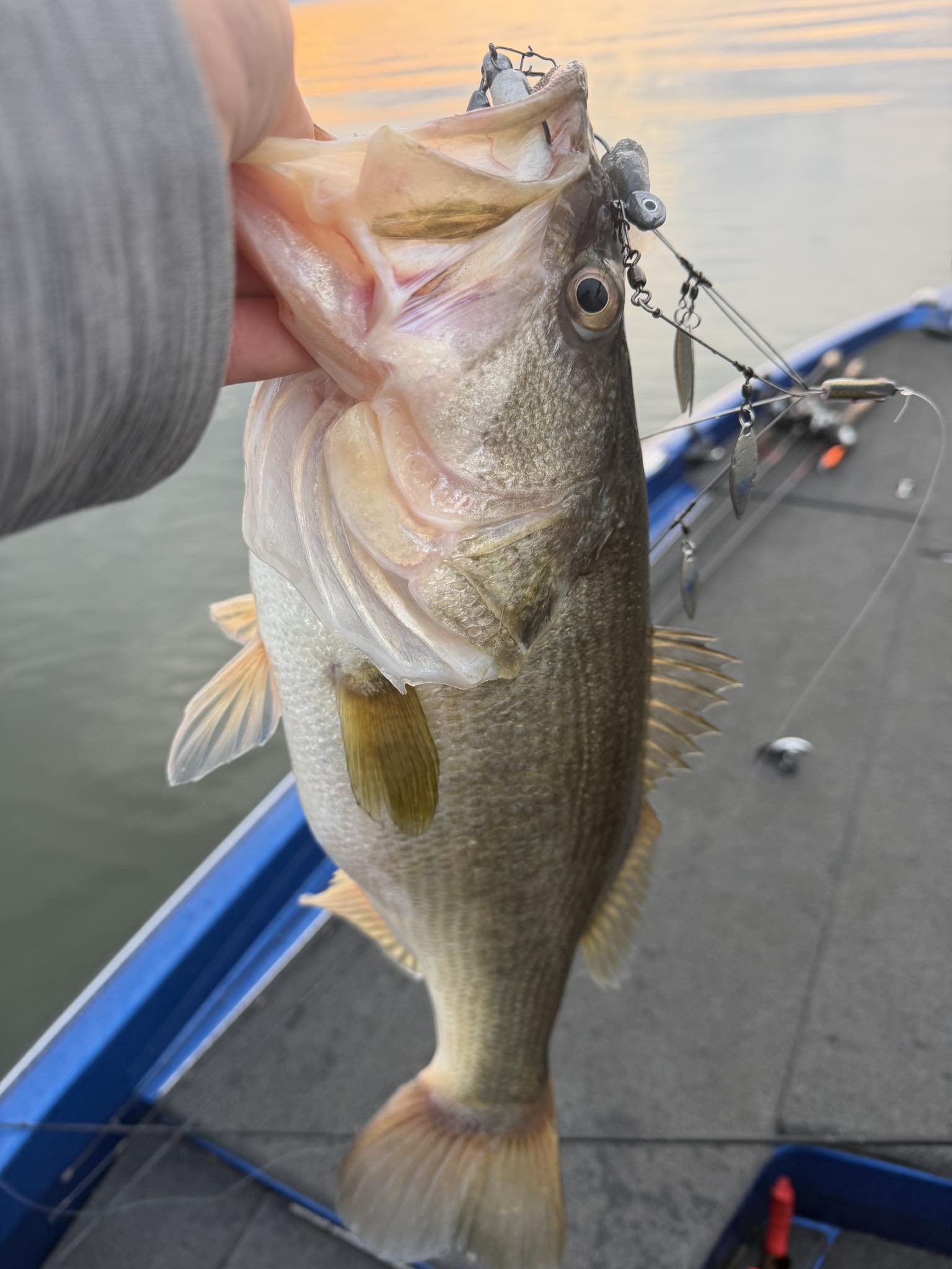 Sam Rayburn is heating up! Ben’s... - Bent Rods Guide Service | Facebook