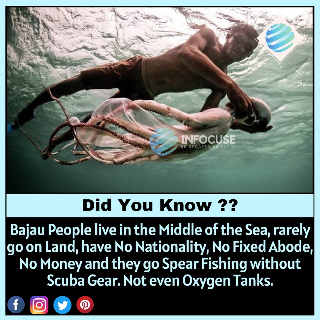 Infocuse - The Bajau people, also known as the “sea...