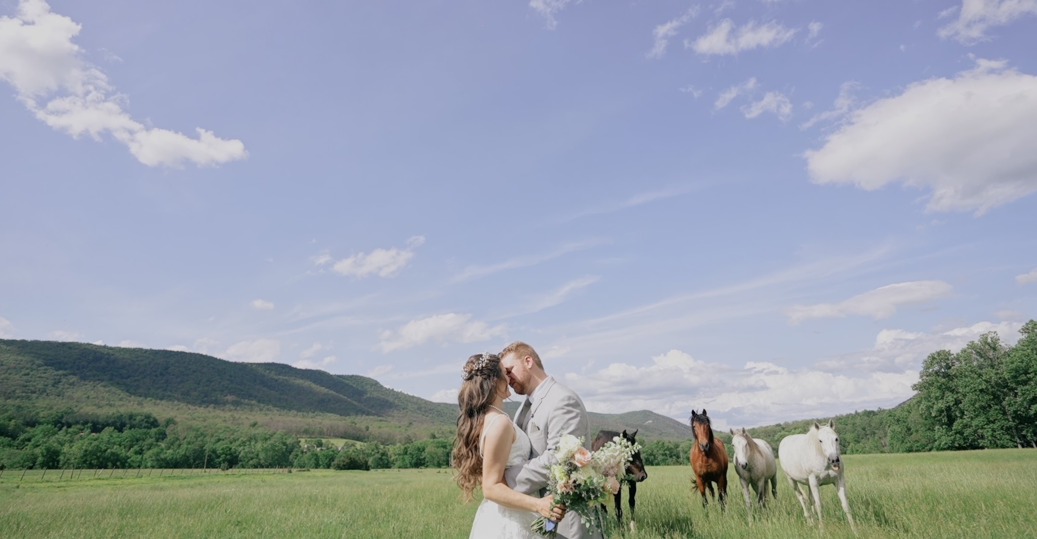 SVC FILMS, LLC | Alexandria VA