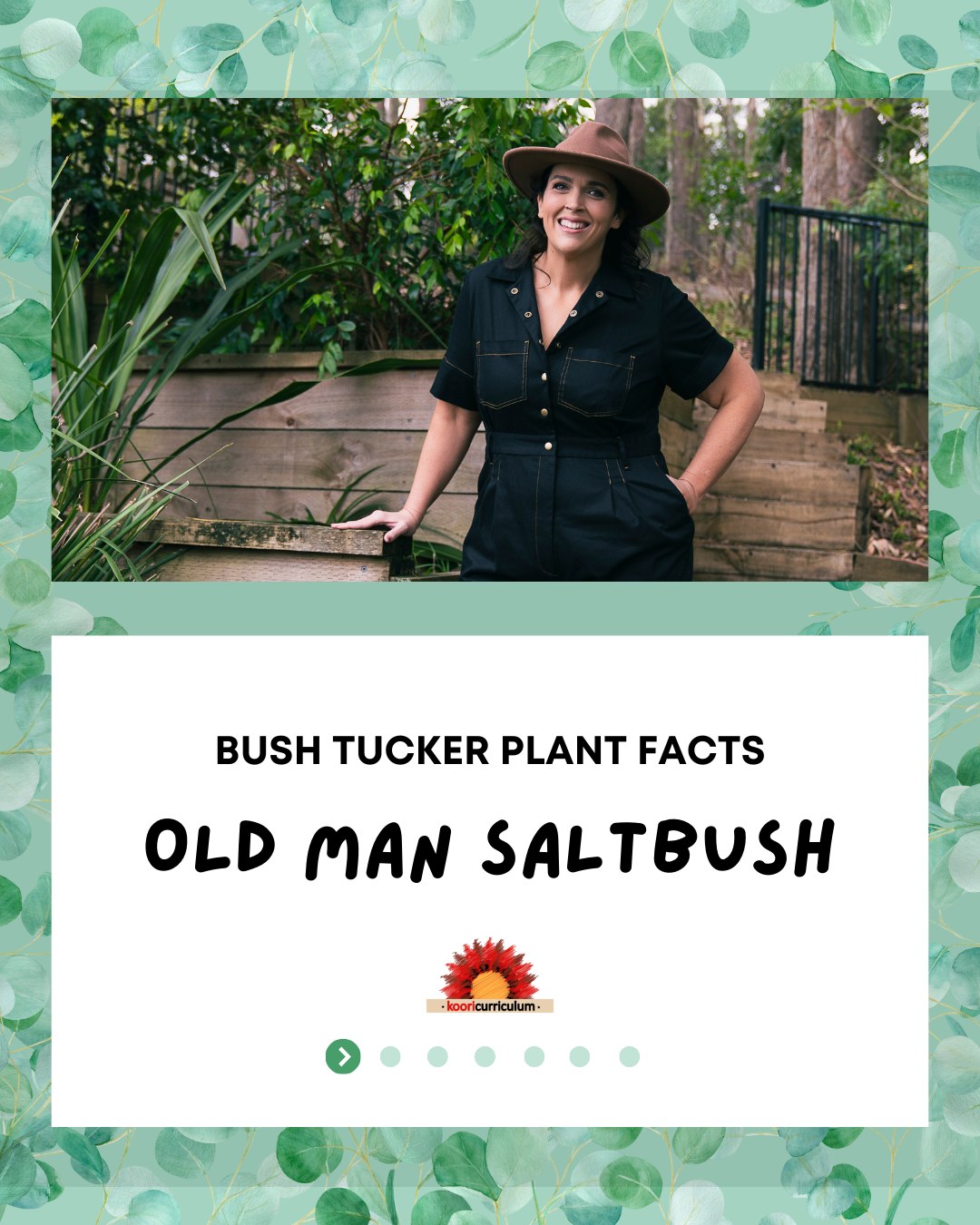 Creating a Bush Tucker Garden is... - The Koori Curriculum | Facebook
