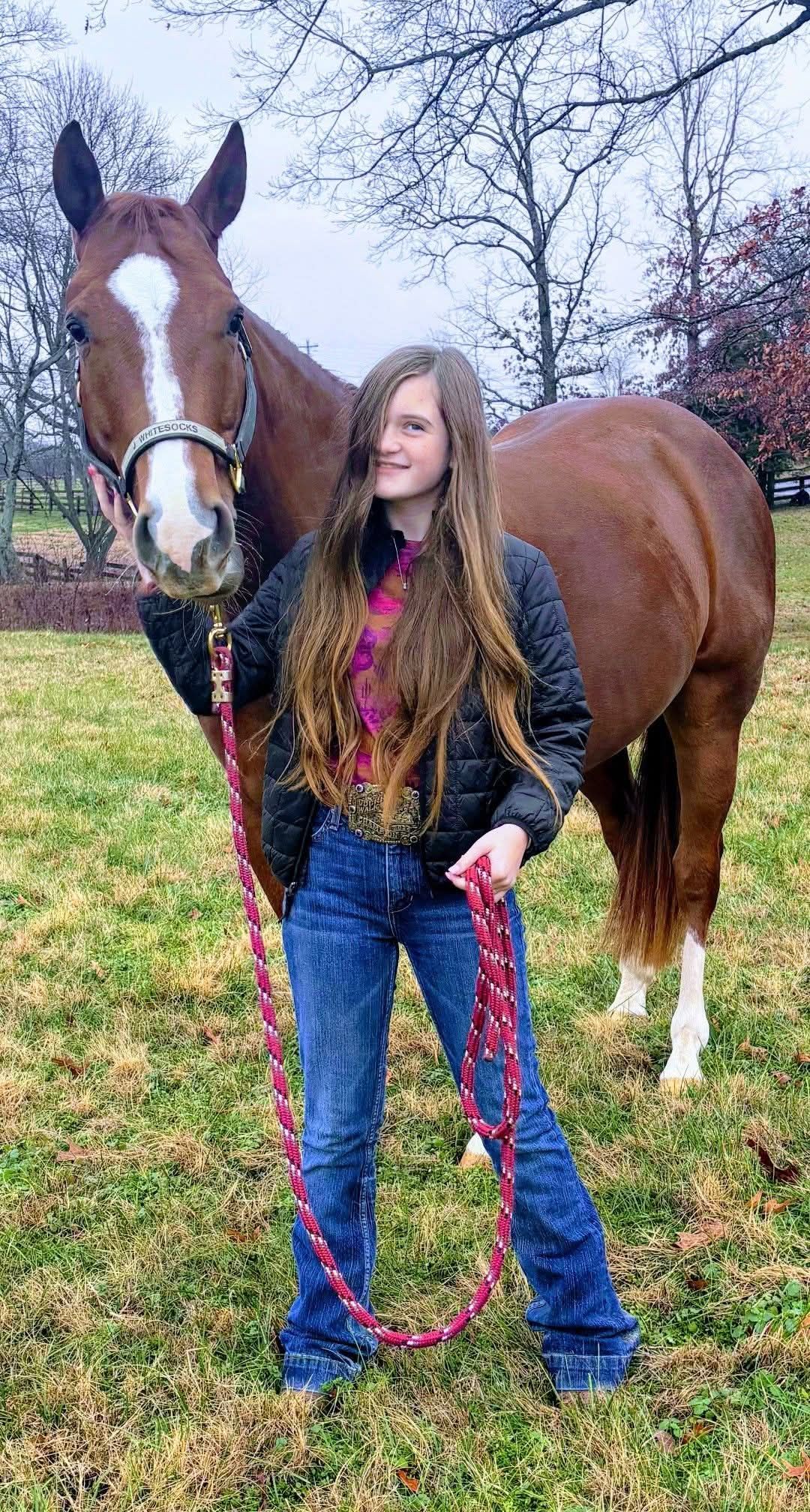Ruckus Performance Equine | Springfield TN