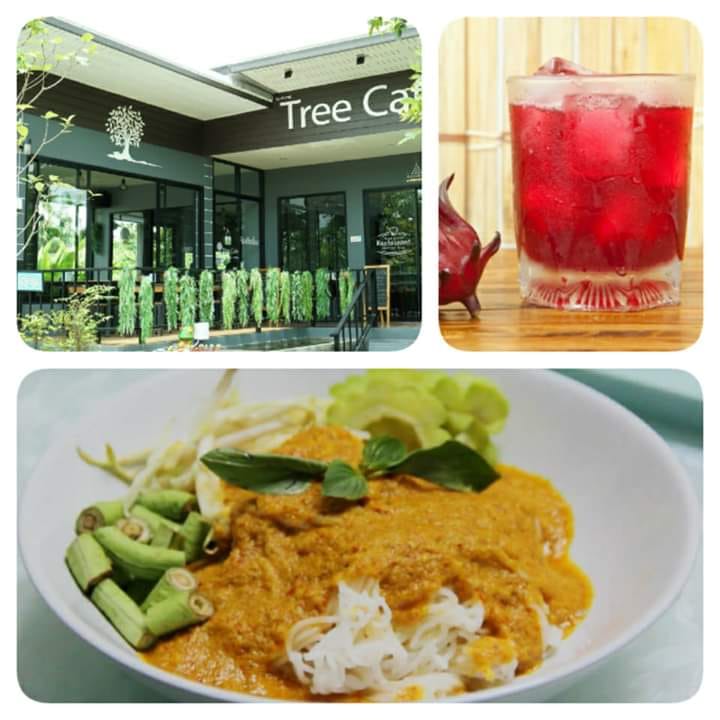 🤗🤗วันนี้นะคะ🤗🤗... - Tree Cafe' at Tha Thong | Facebook