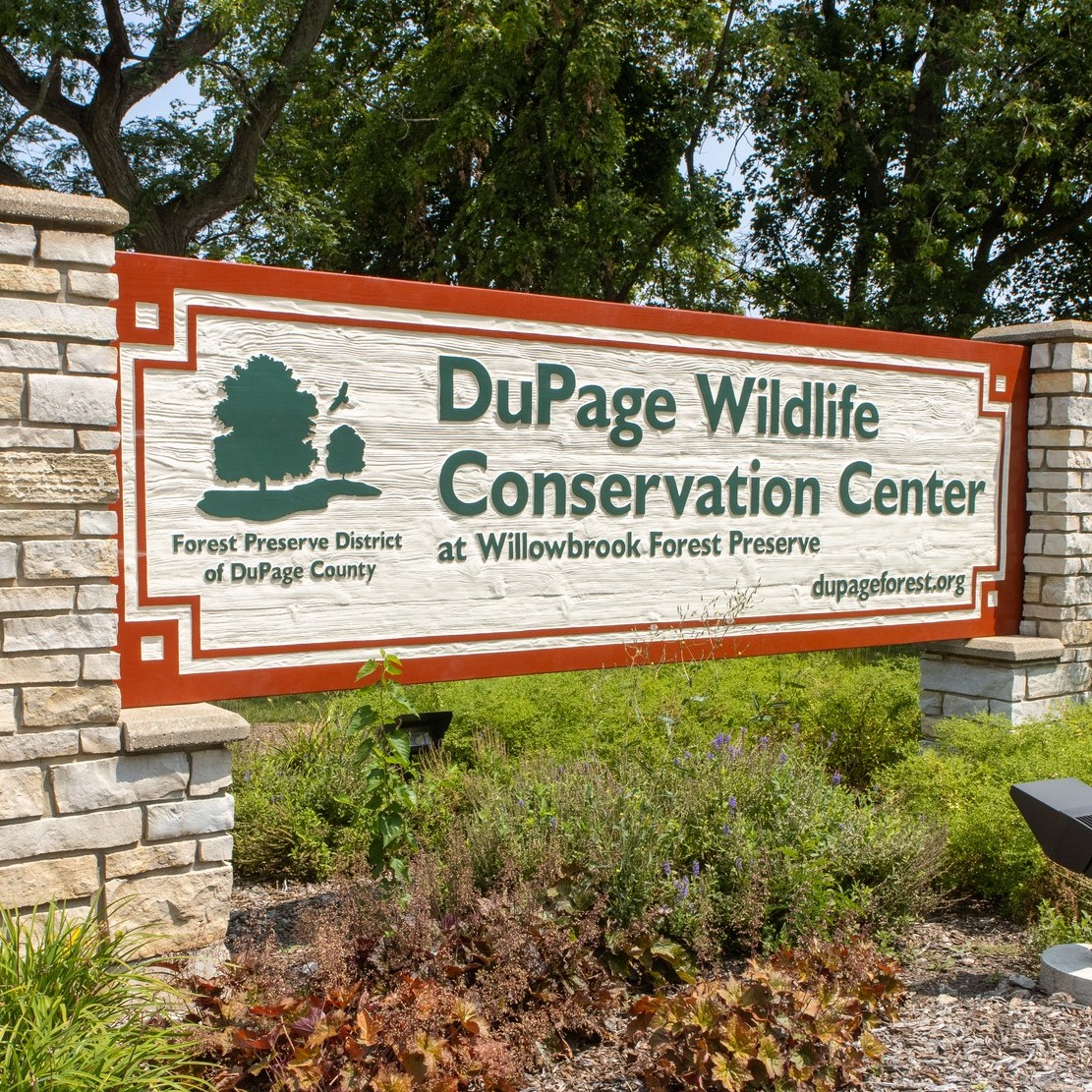 Flooded Bunny Nests... - DuPage Wildlife Conservation Center | Facebook