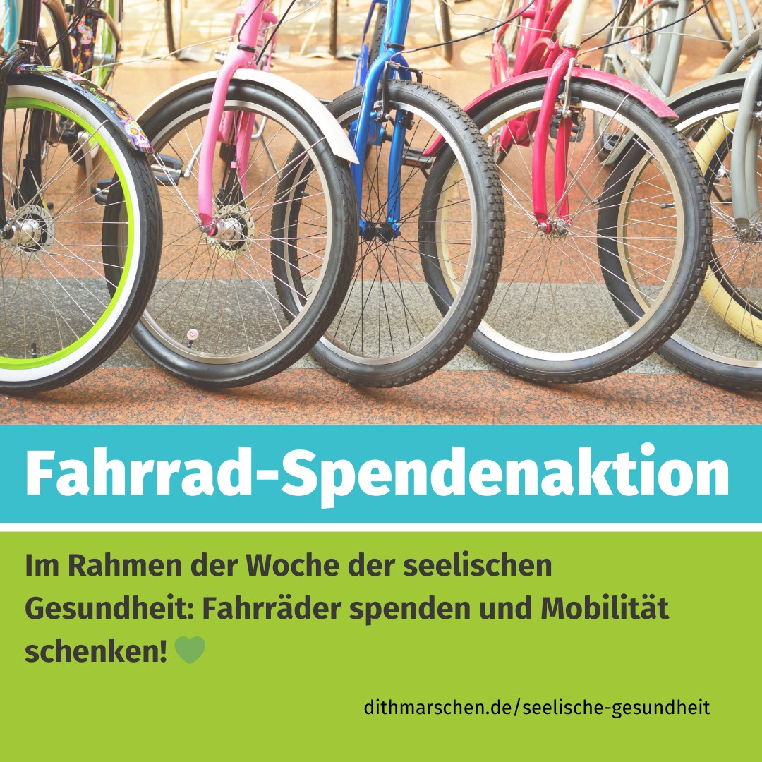 fahrrad kaufen in bonn Bonnell 775 MX — hazelnut Größe:M (52-57cm) TRIXIE Hunde-Fahrradanhänger faltbar –