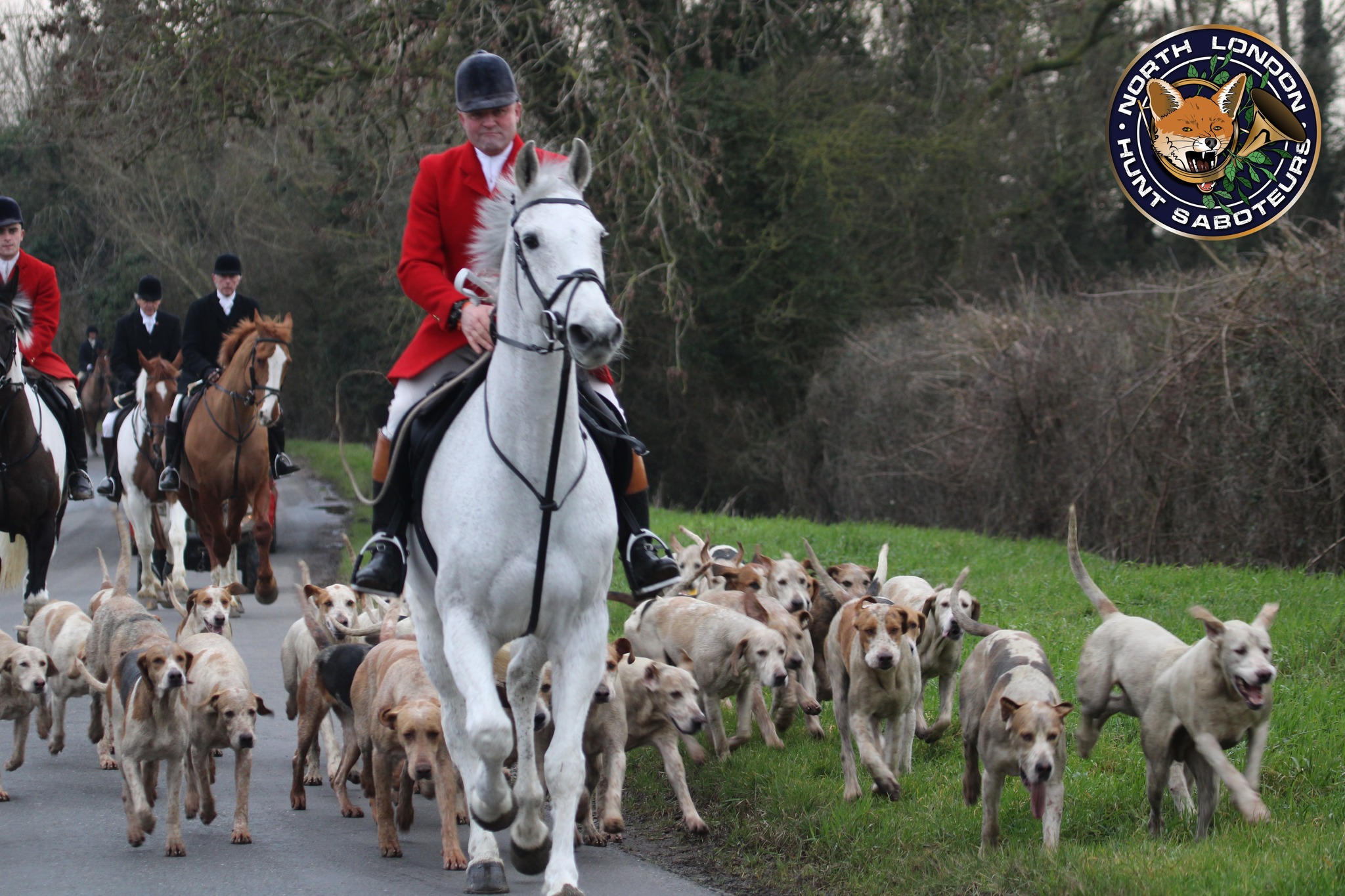 North London Hunt Saboteurs... - North London Hunt Saboteurs