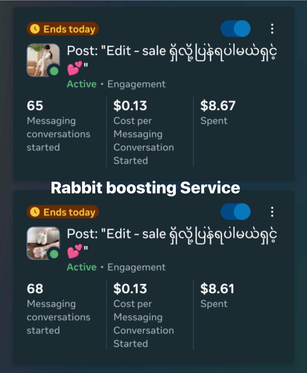 Rabbit Boosting Service