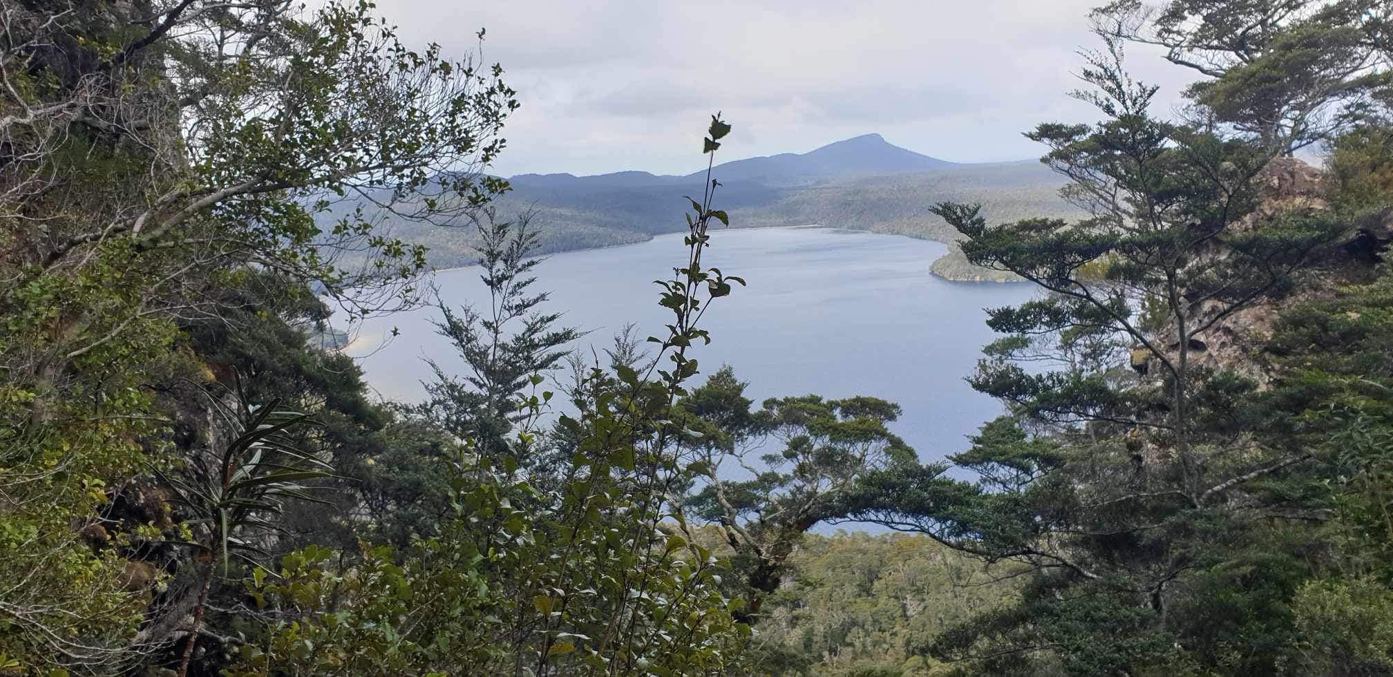 Hokonui Tramping Club