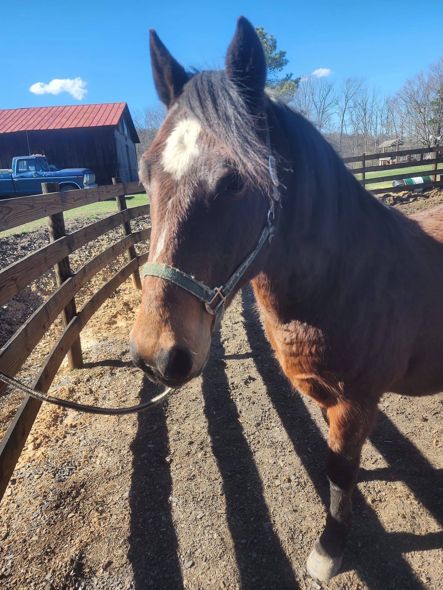 Cross Arrows Ranch