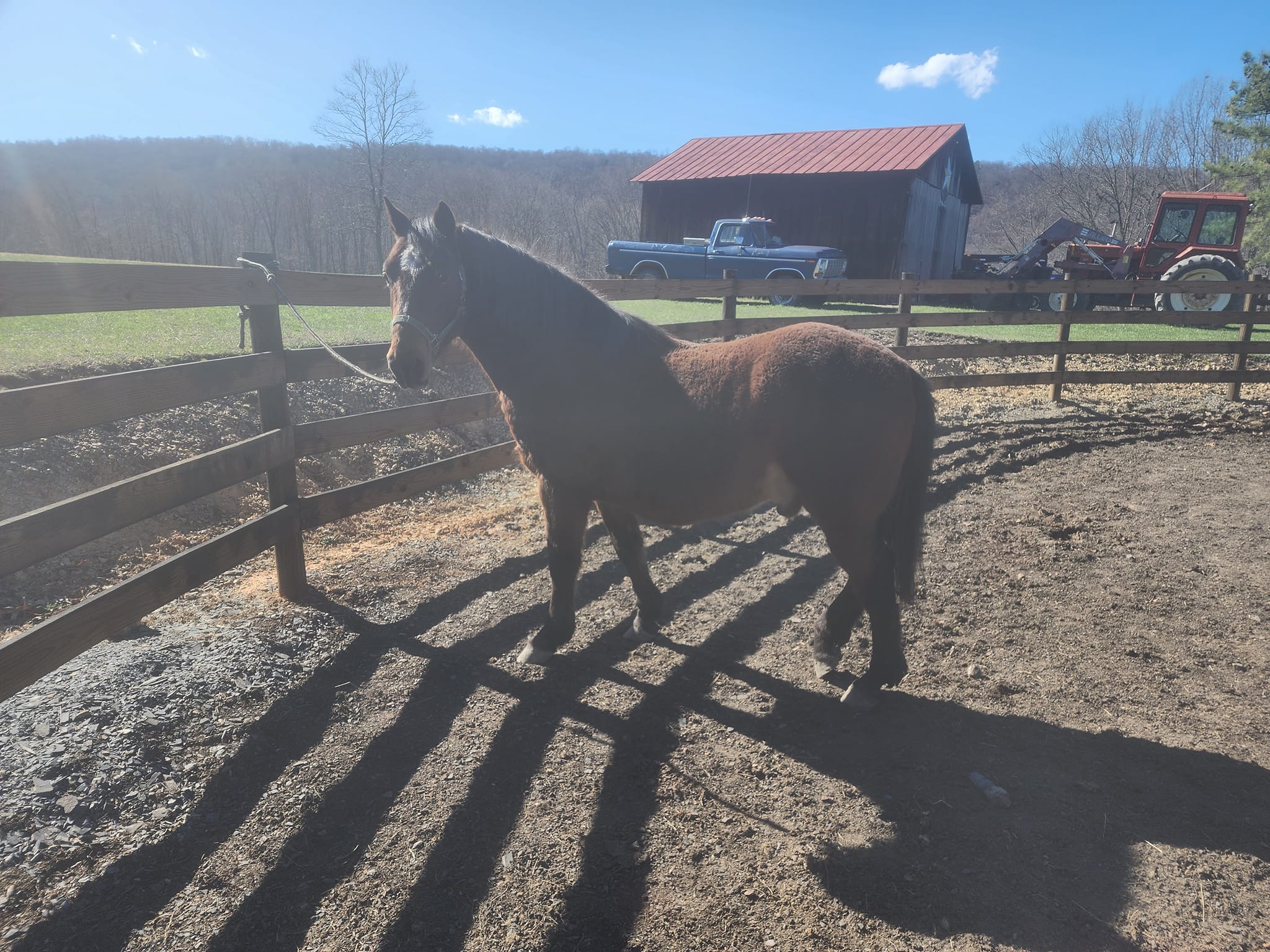 Cross Arrows Ranch