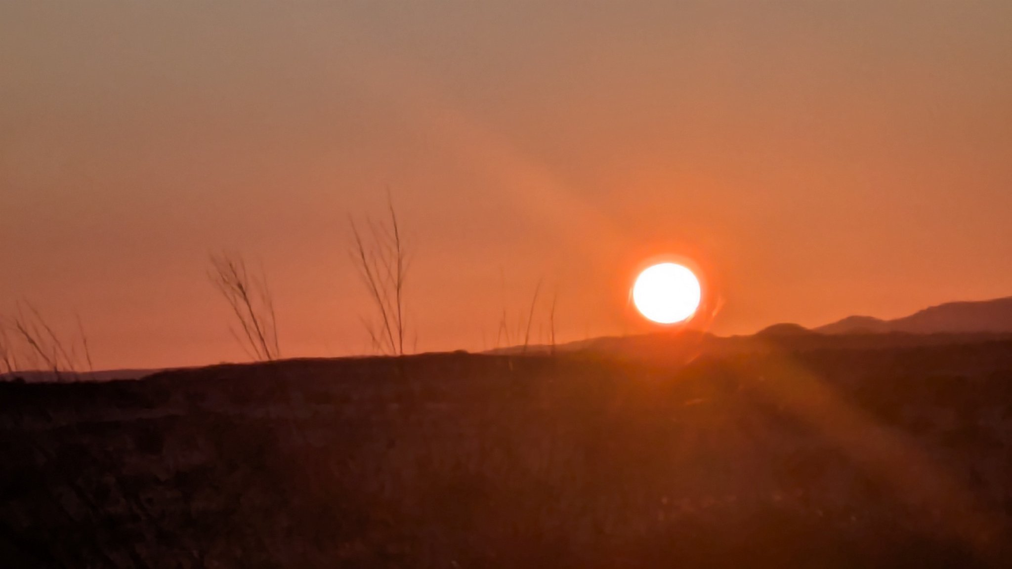 Tim Dale