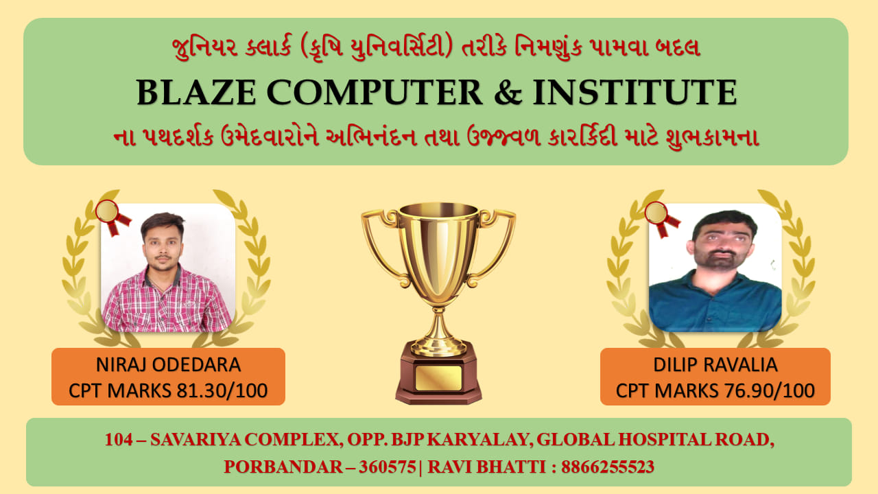 BLAZE COMPUTERS & INSTITUTE