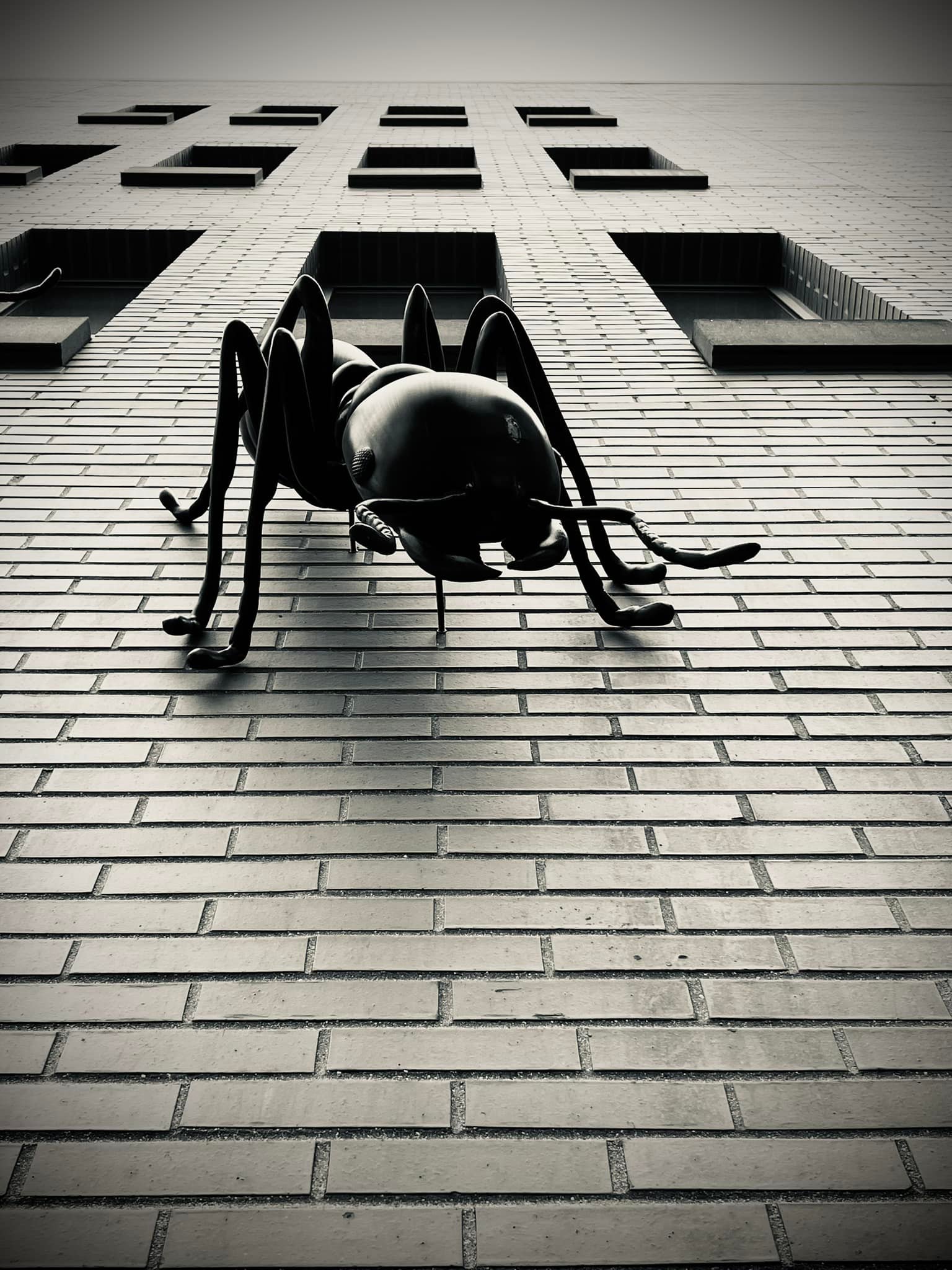 Giant monster ants? Actually,... - Cryptids State by State