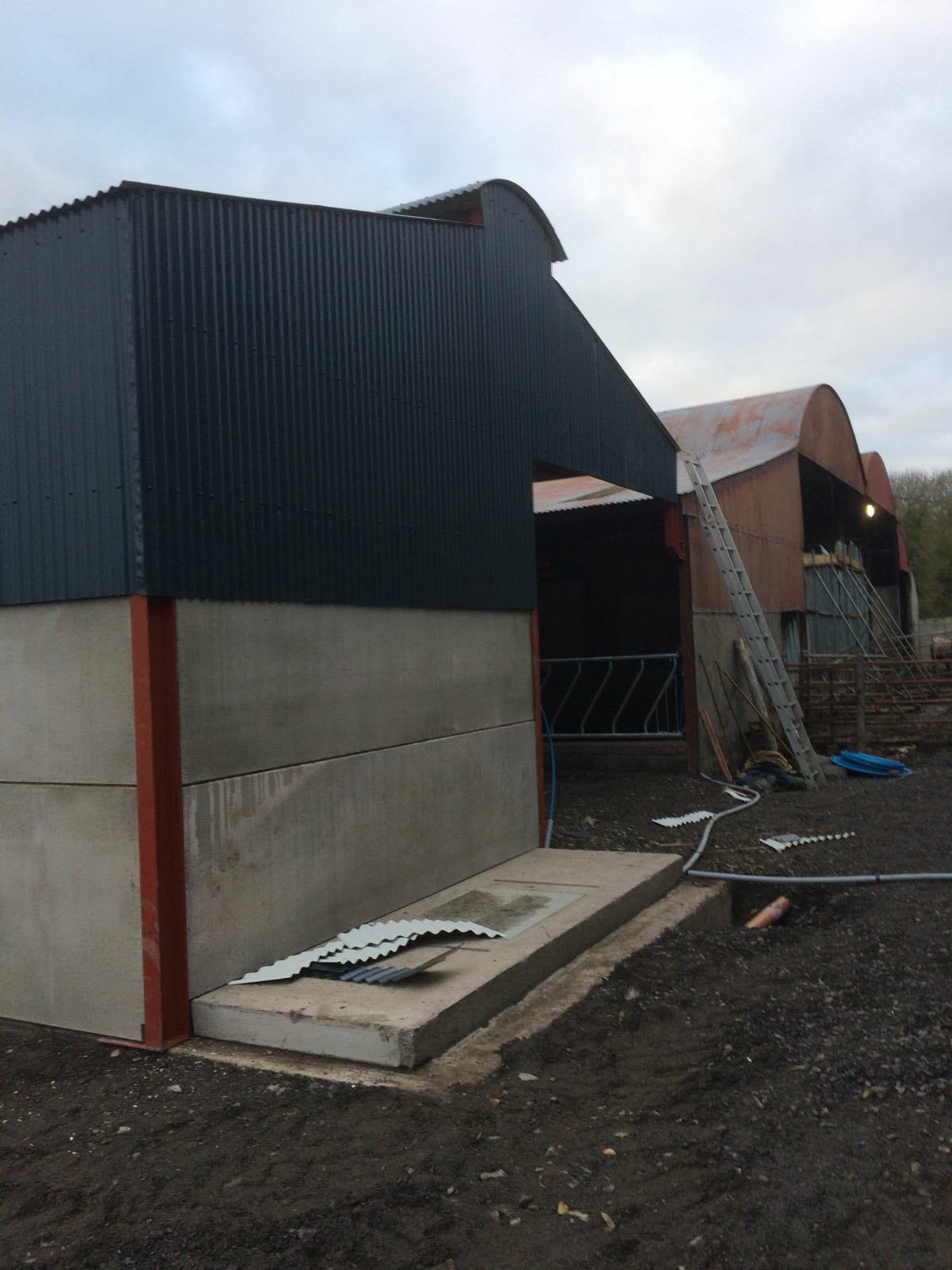 80x30 cattle shed. With raised ridge... - A E Kenwell &Sons