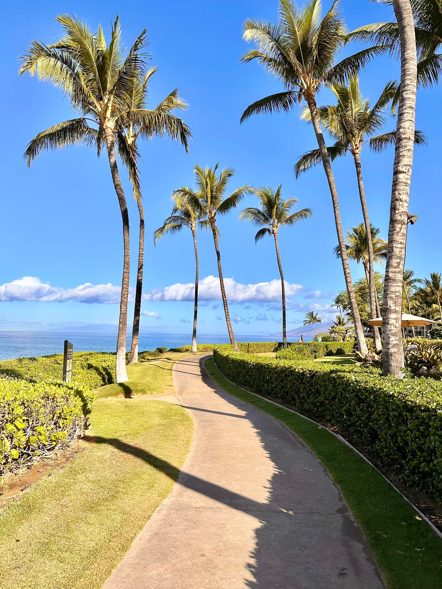 📍Wailea Beach Walk // Maui) 🌴 This is one of my favorite parts