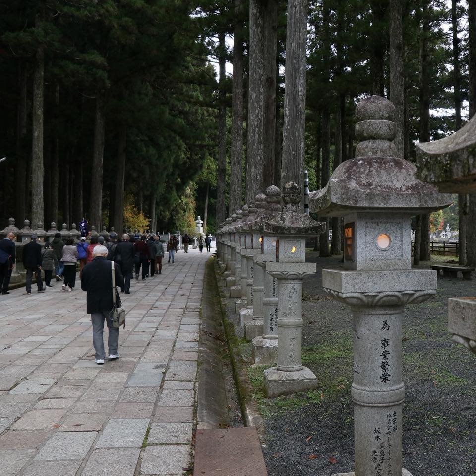 高野山奥之院に並ぶ石灯籠。 #高野山 #石灯籠 #奥の院 #赤坂不動尊