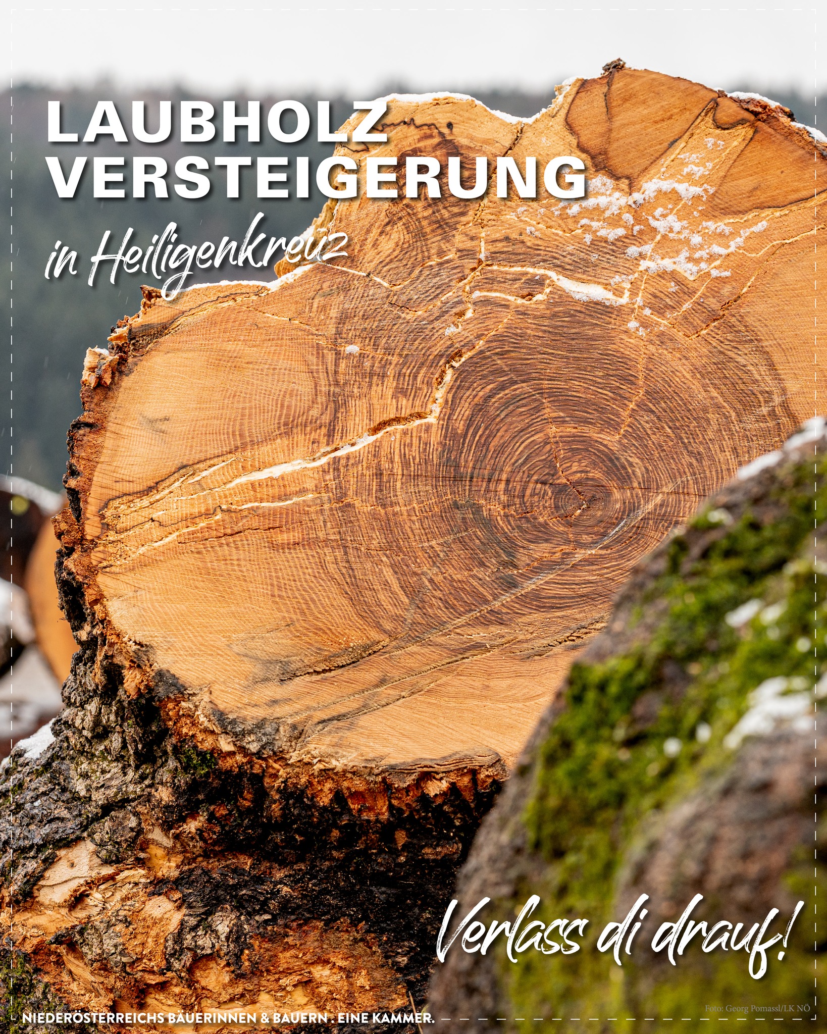 Unsere Bauern. Verlass Di Drauf. – EPDA