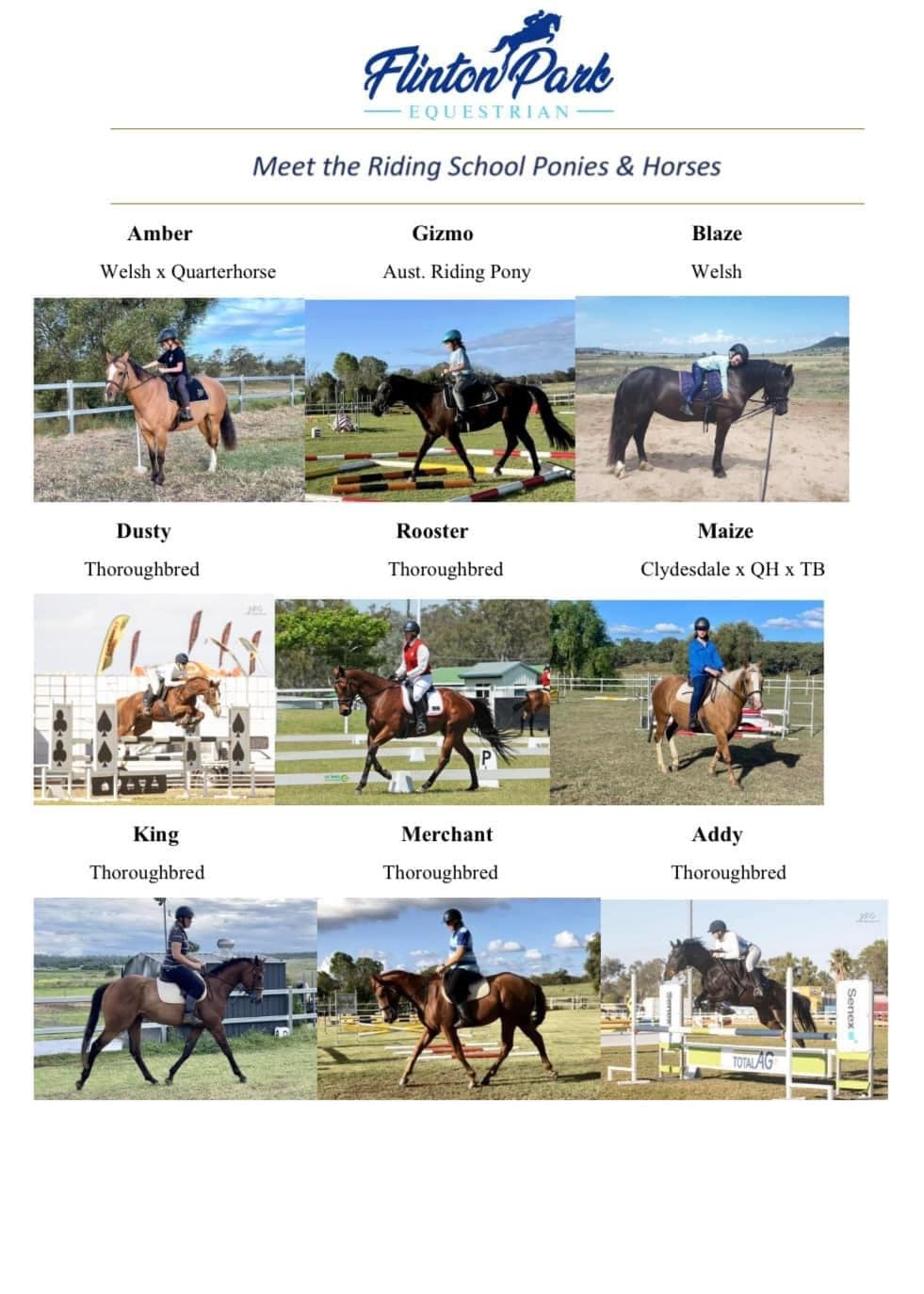 Flinton Park Equestrian | Meringandan West QLD