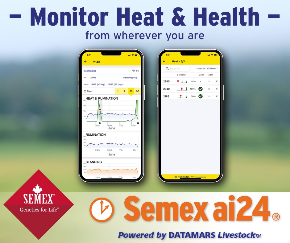 Semex ai24® is easy to use with... - Semex South Africa | Facebook