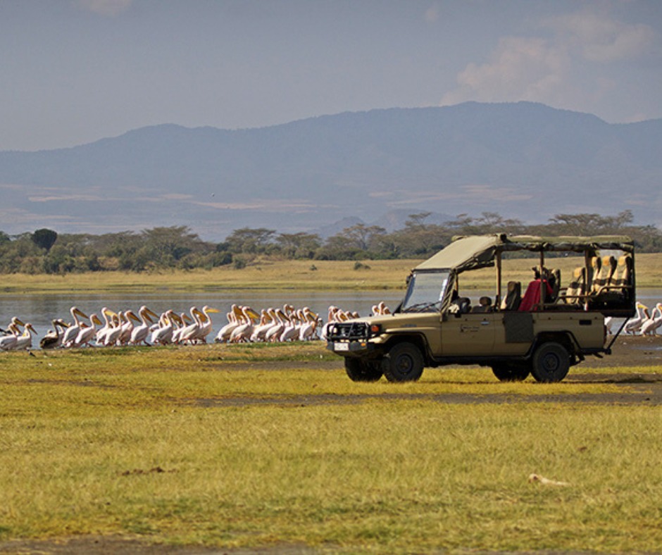 ️ Featured... - Freedom Destinations - The Africa Experts