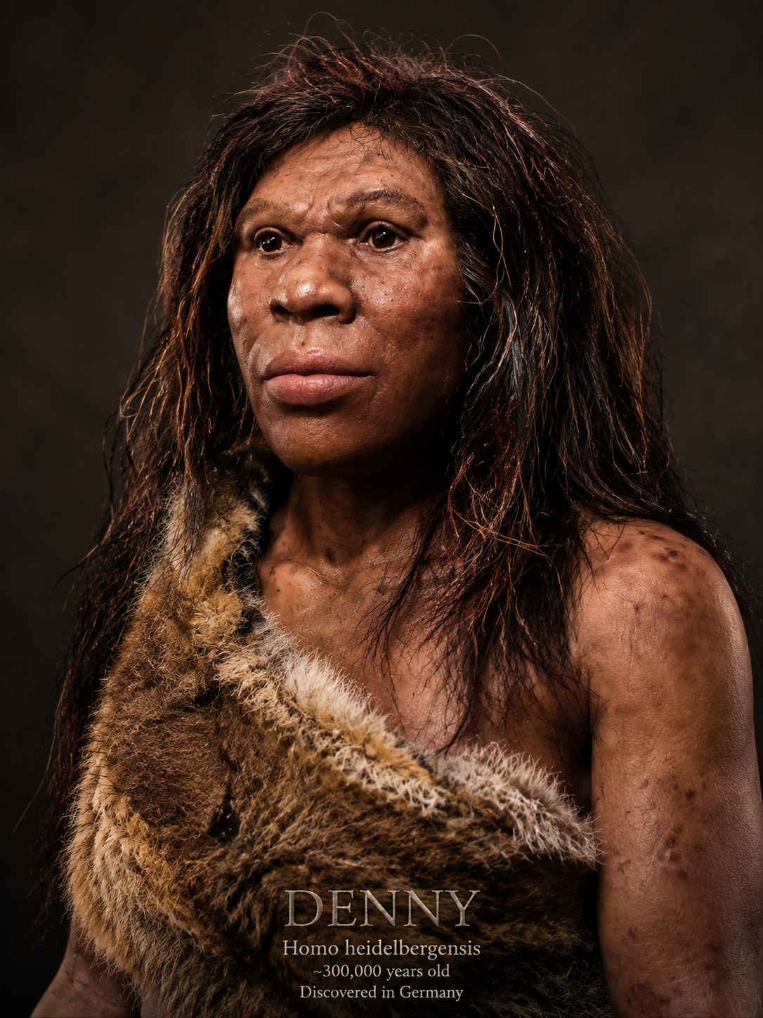 Human evolution | Human evolution was never a straight line, and this ...