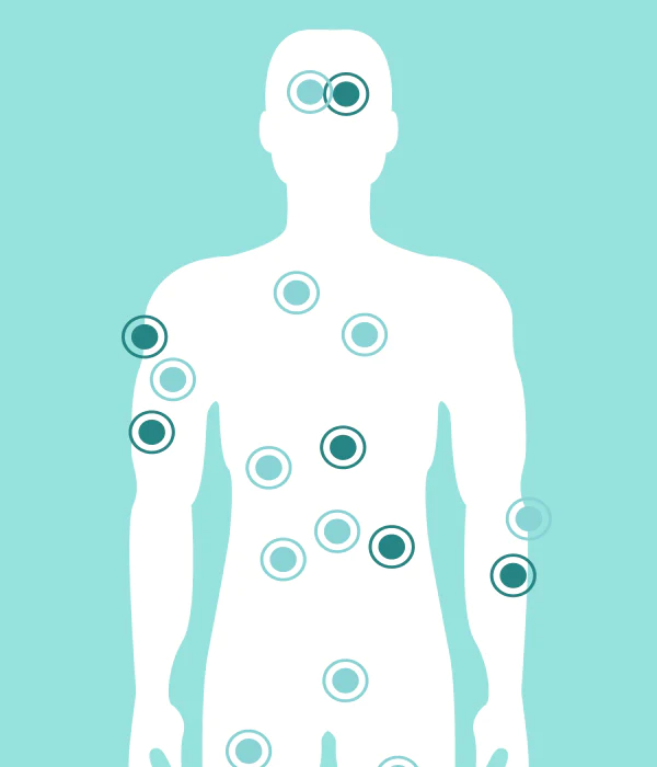 Purely CBD - The entourage effect is a term used to describe the ...
