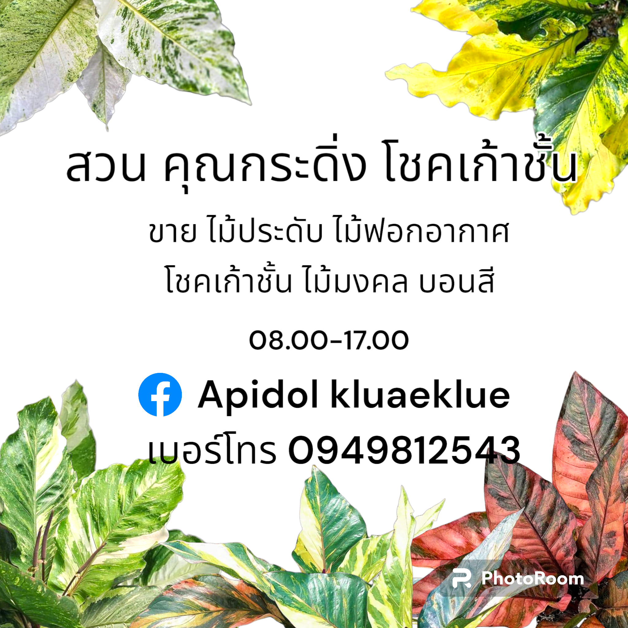Apidol Kluaeklue
