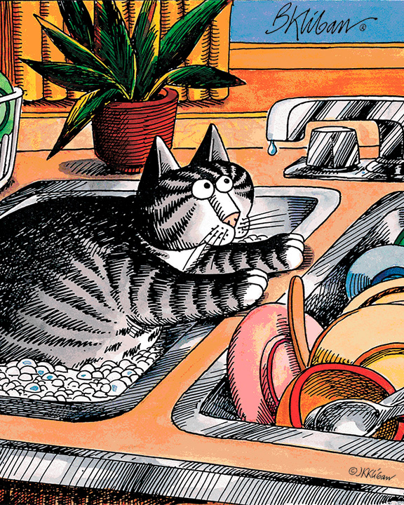 B. Kliban Cats - Anticipation ? #illustration #funnycat 