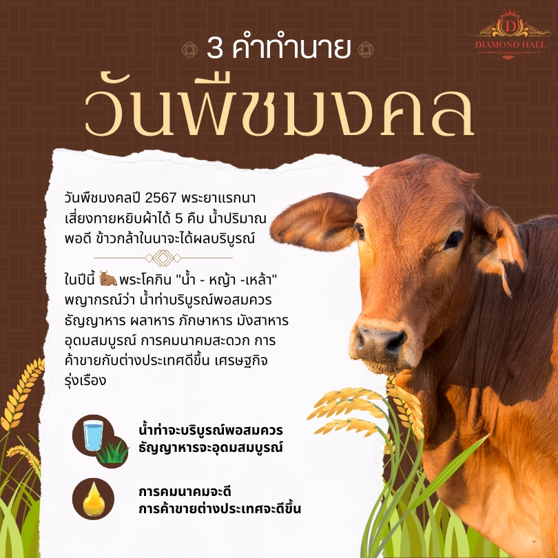 🎋วันพืชมงคล 10 พฤษภาคม 2567 - Diamond Hall Zeer Rangsit