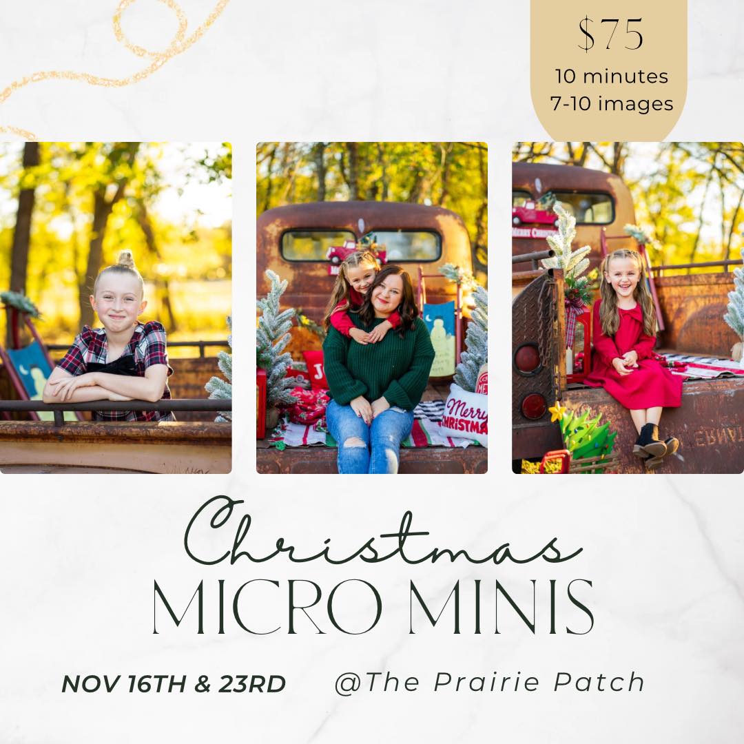 Marlie - Christmas Truck Micro Minis $75 • 7–10 images • 10 minute ...