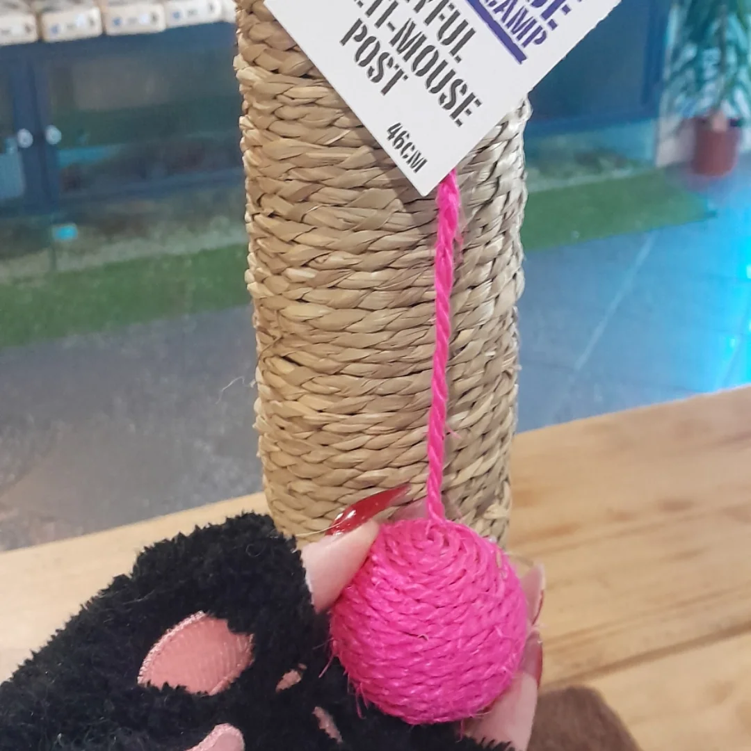 The Animal Shack Ireland | Rathmore