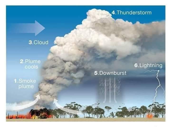 Your - 🚒 Did you know that bushfires can create their own weather ...