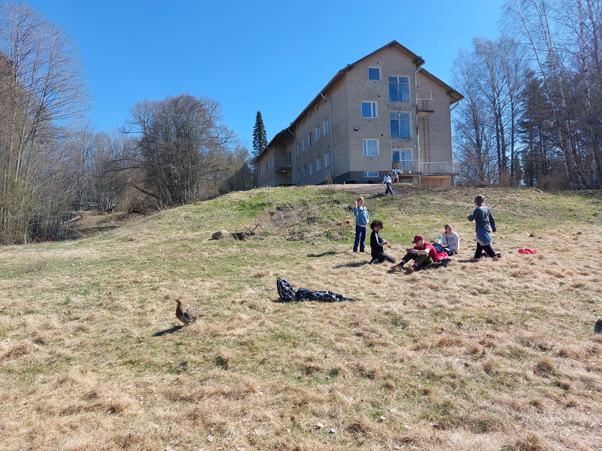 vaasan-rudolf-steiner-vaasan-rudolf-steiner-koulu