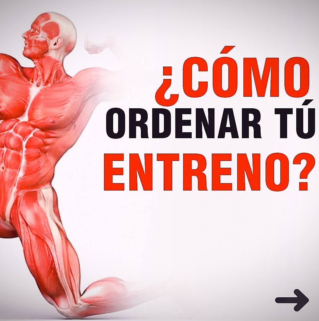 Arcticfoxdev - El orden en el entrenamiento si que es... | Facebook