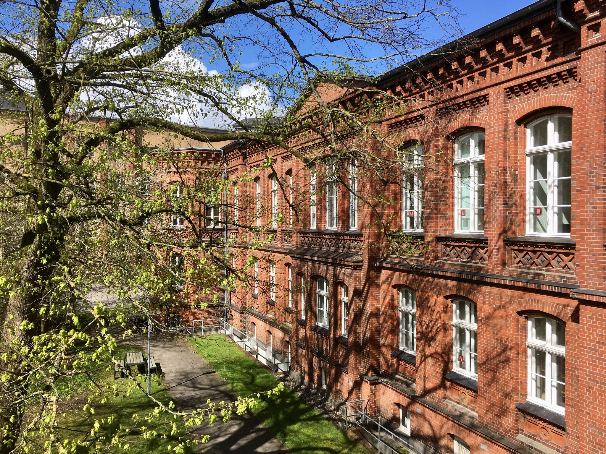 sneep Flensburg