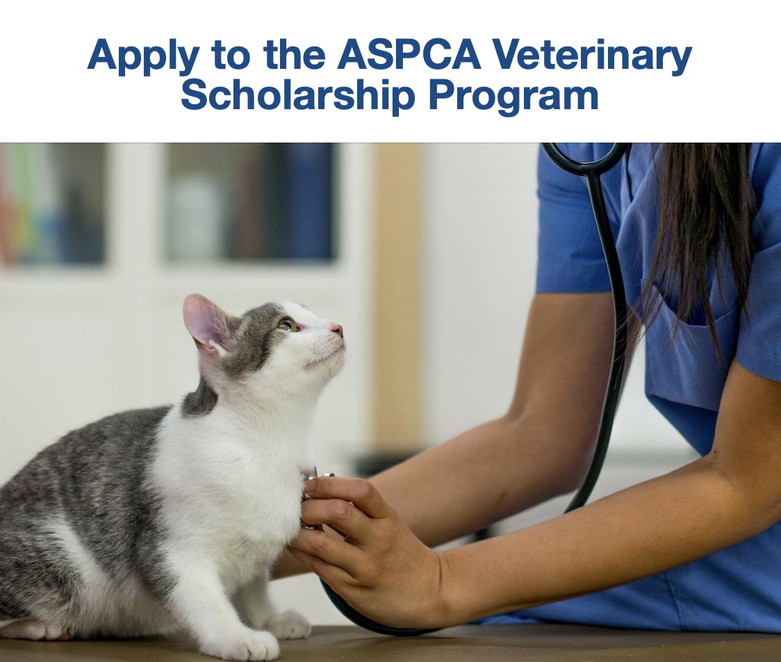 Virginia - The ASPCA has launched a new national scholarship program ...