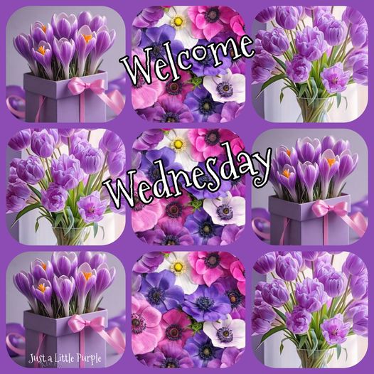 Just a Little Purple - ╭•⊰ 💜 Hello Wednesday 💜╭•⊰ | Facebook