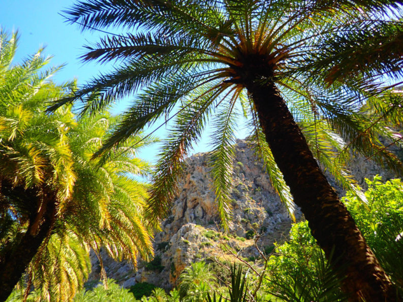 Zorbas Beach Island added a new photo. - Zorbas Beach Island