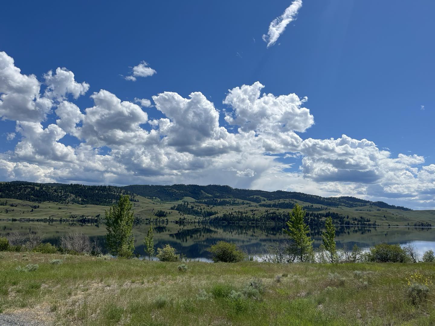 Douglas Lake Ranch | Douglas Lake BC