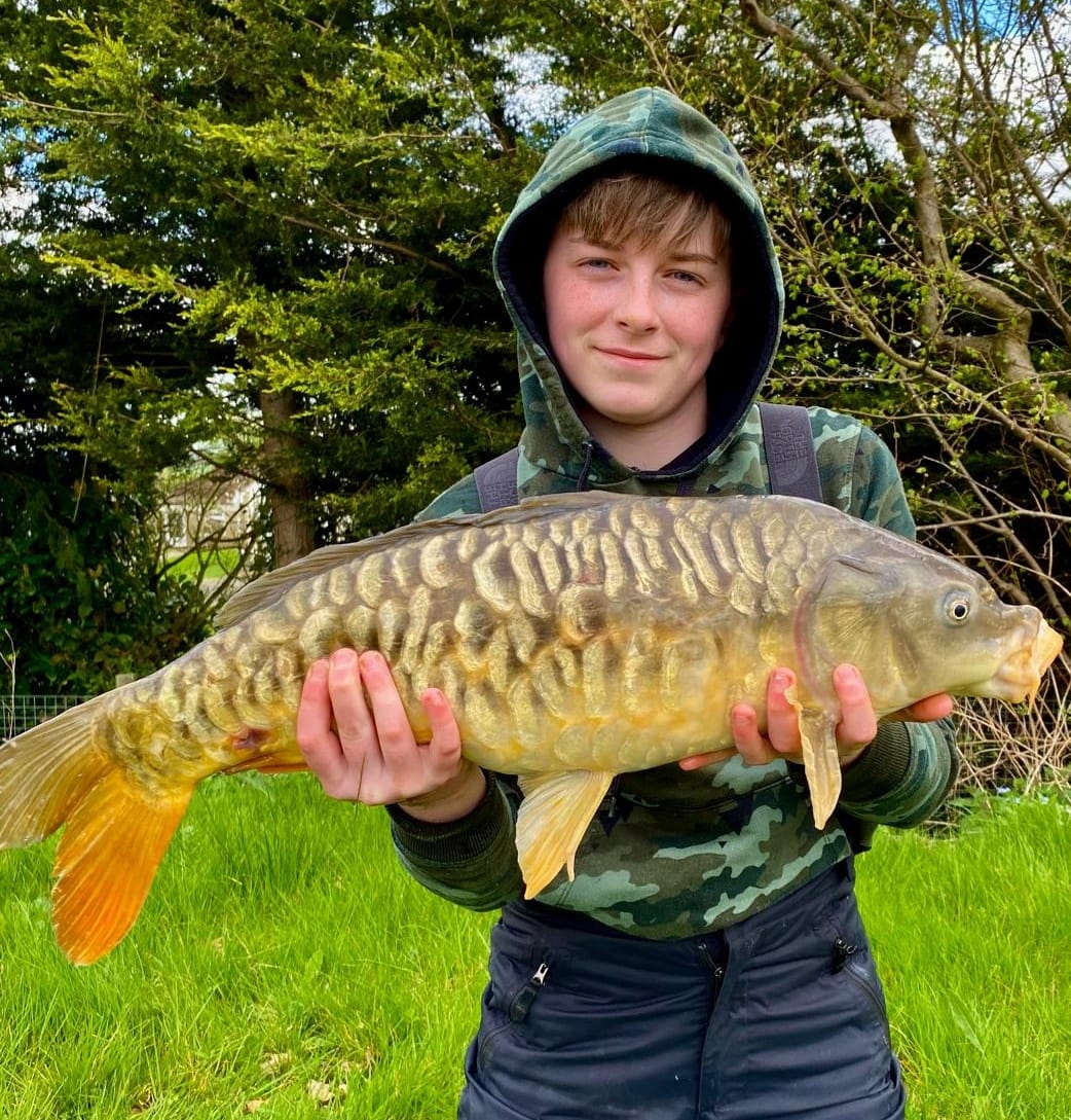 Maple - Nice to see some of the bigger carp coming out recently on the ...