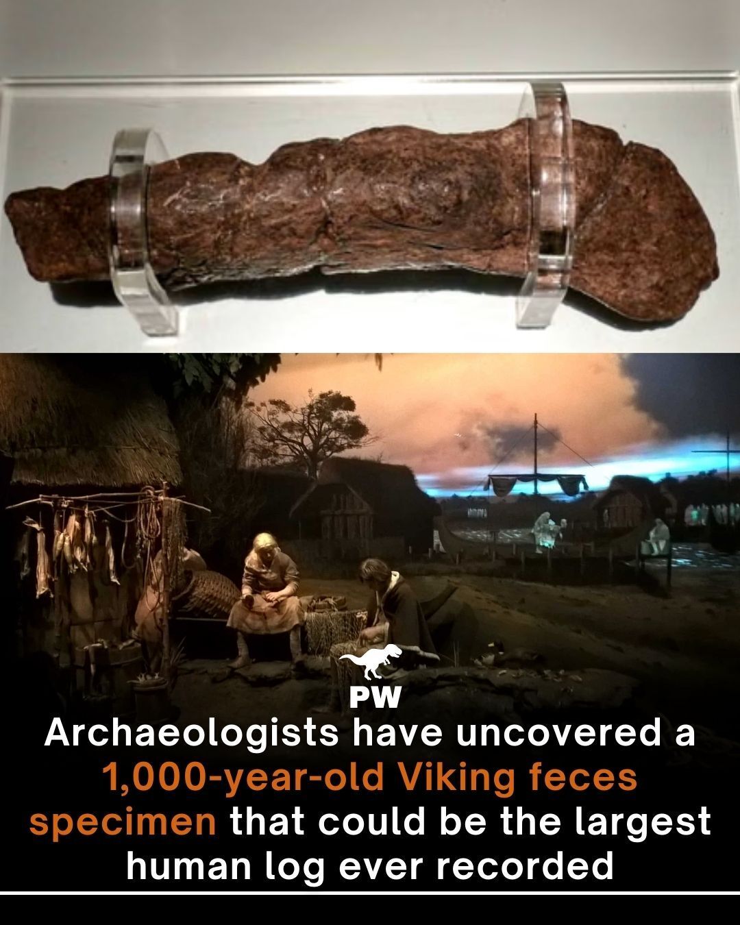History sometimes comes in the... - The Prehistoric World | Facebook