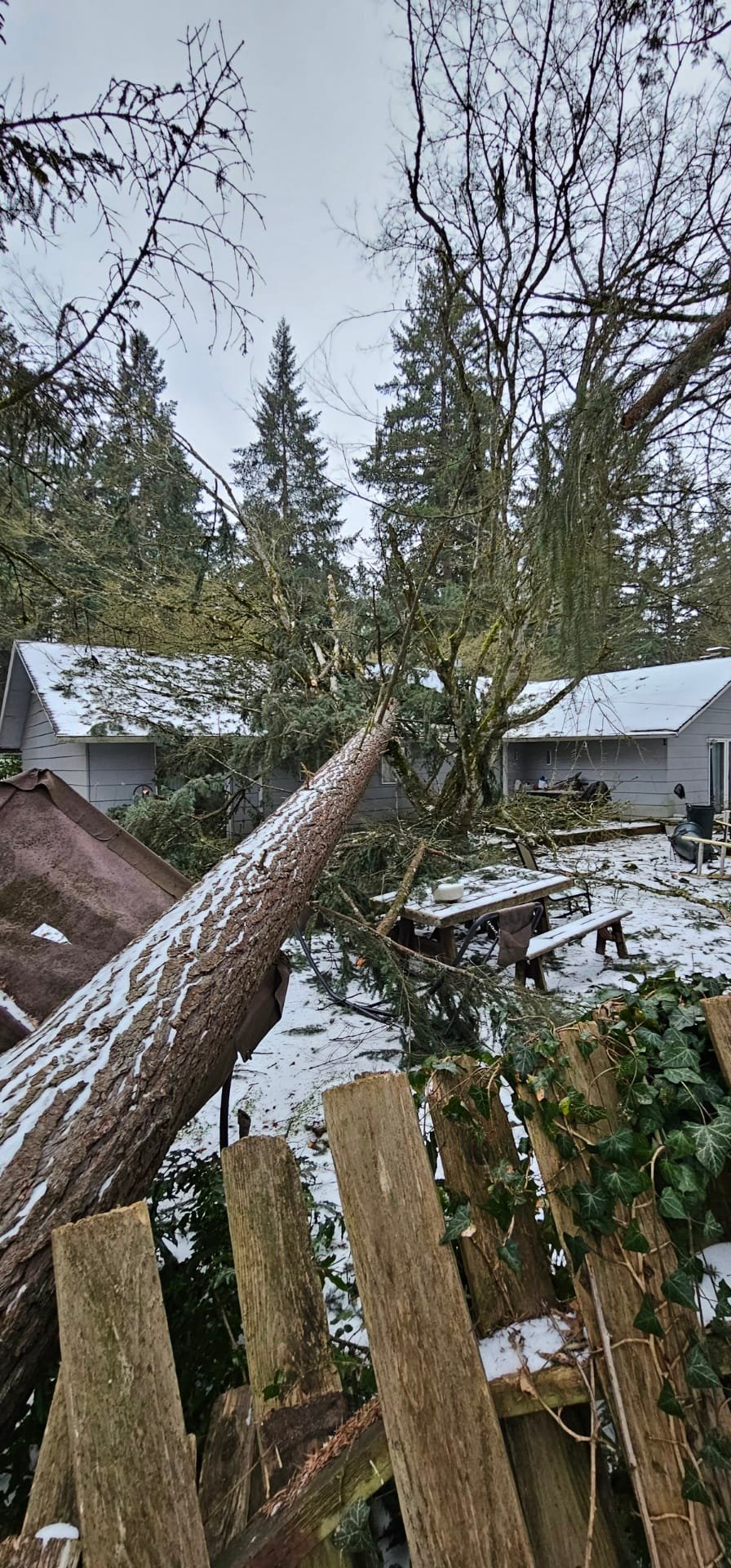 Quality Performance Tree Service,LLC | Tulatin OR