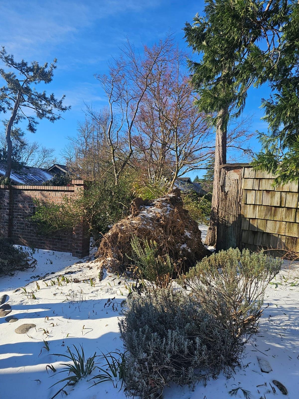 Quality Performance Tree Service,LLC | Tulatin OR