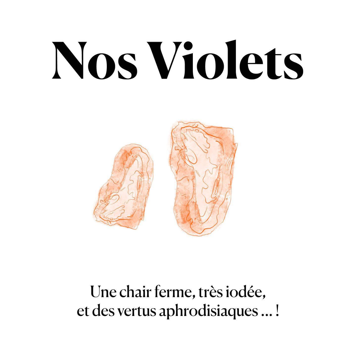 🌿 Violets de roche 🌿 ~... - Coquillages Claude - Mazargues | Facebook