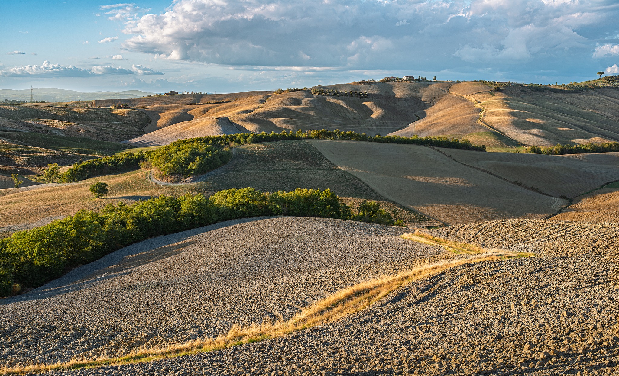 Nikon D800 with Nikkor AF-S 50mm f/1.8G. Every time I look at the 