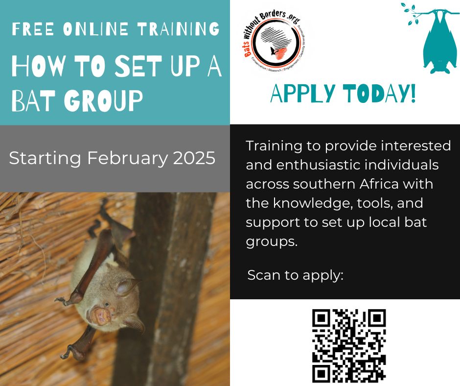 Bats - Bats without Borders is thrilled to announce the return of our ...