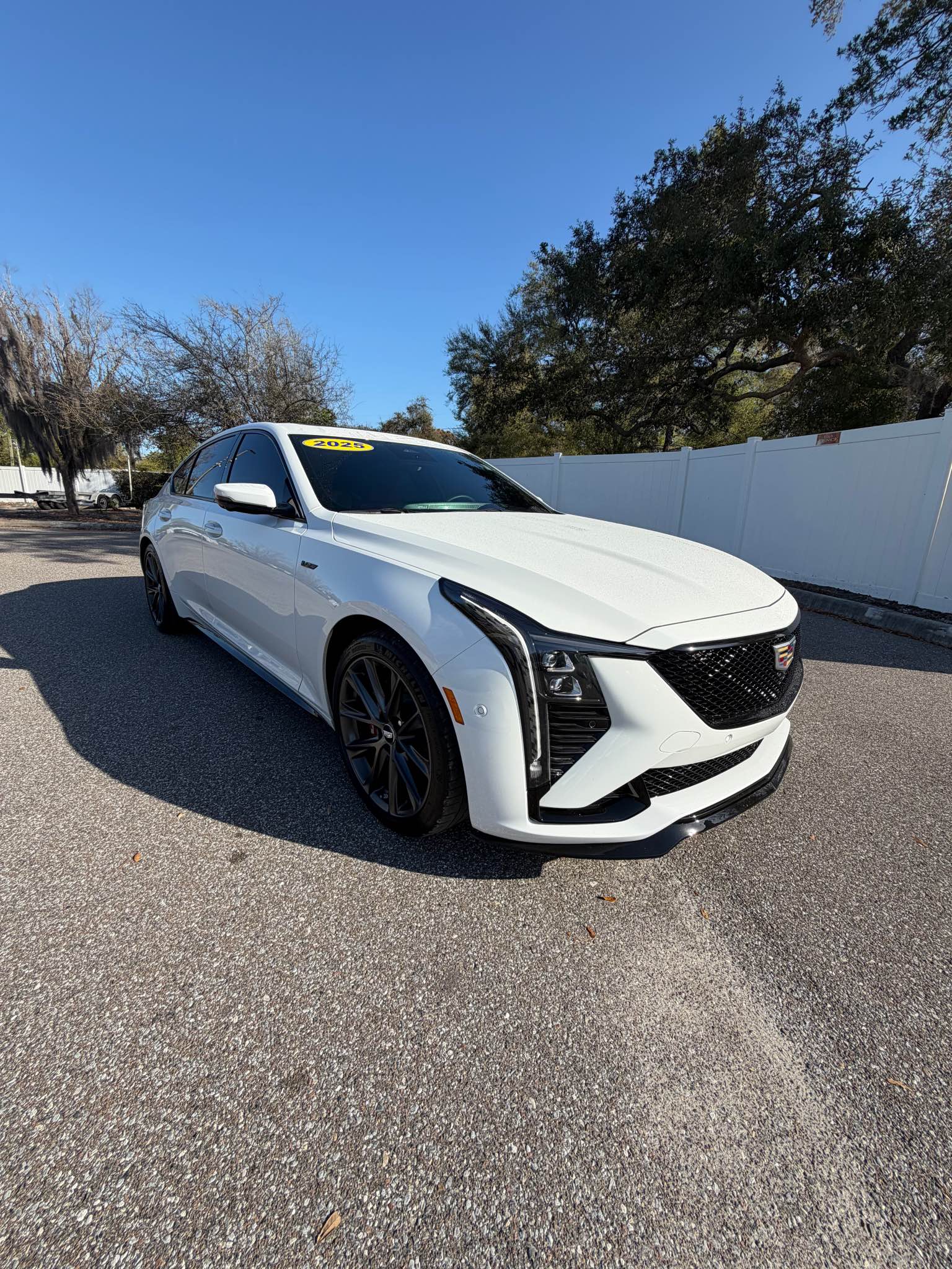 Sitemapcdatahttpskniidreferenzcomdimmitt Cadillac Of St Petersburg Vehiclesnull