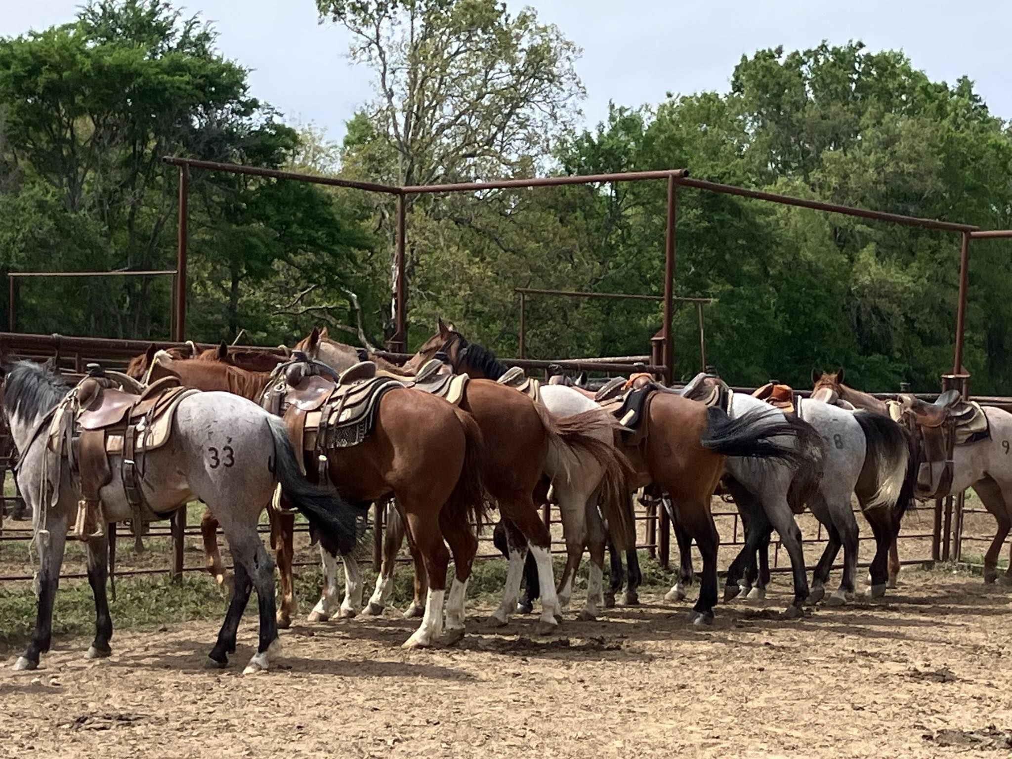 Box A Ranch | Blossom TX