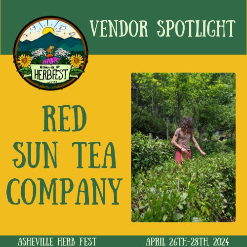 💚VENDOR SPOTLIGHT💚 🌱Red Sun Tea... - Asheville Herb Festival | Facebook